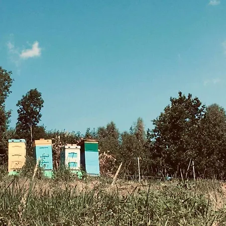 M2